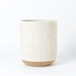 Vaso Veiga